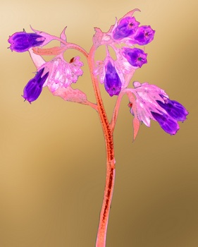 F 057C